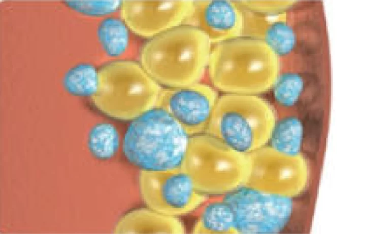 b4